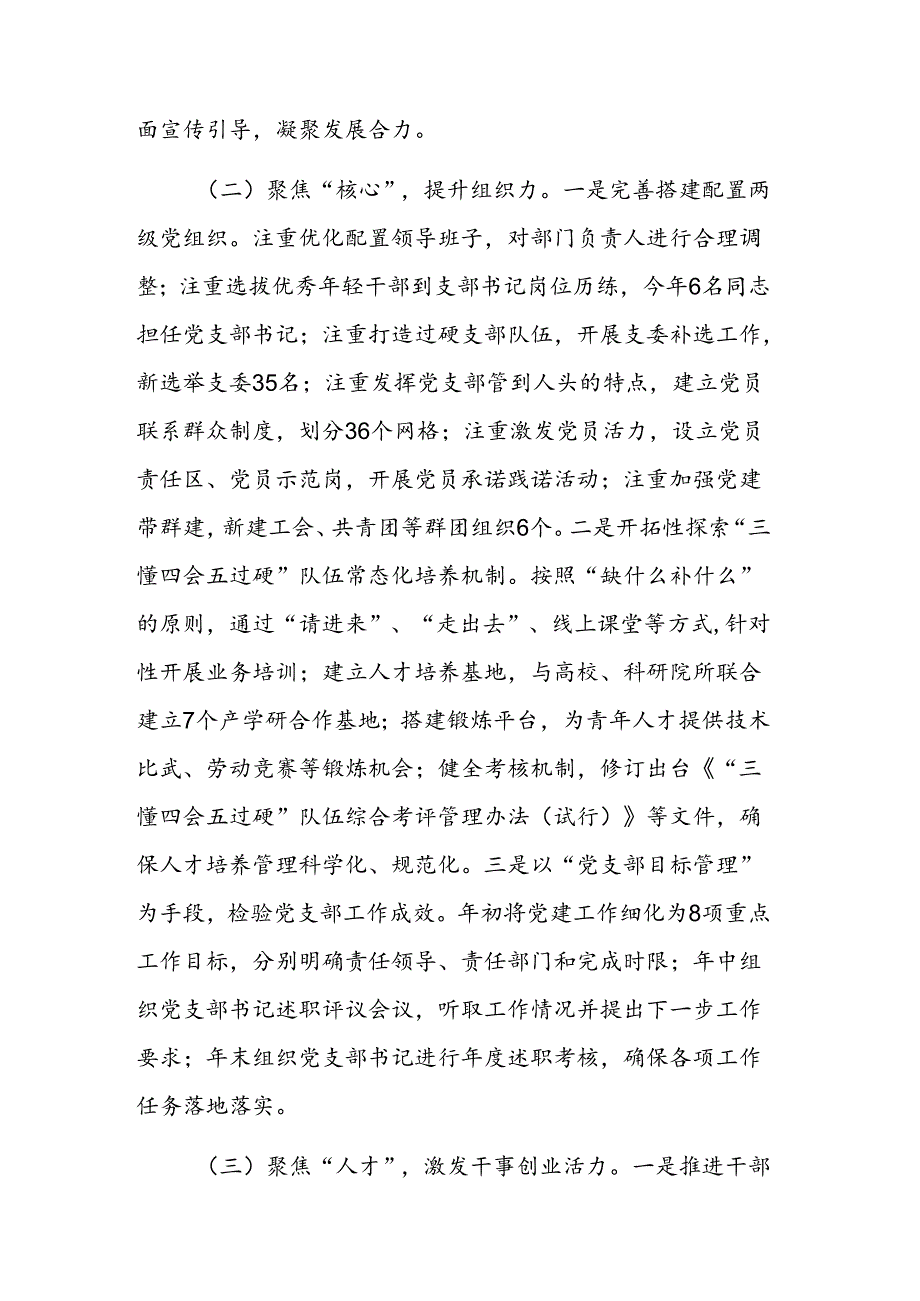 2024年公司党委书记抓基层党建工作述职报告范文.docx_第2页