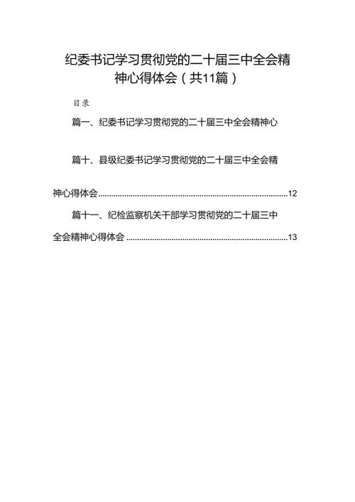（11篇）纪委书记学习贯彻党的二十三中全会精神心得体会（精编版）.docx