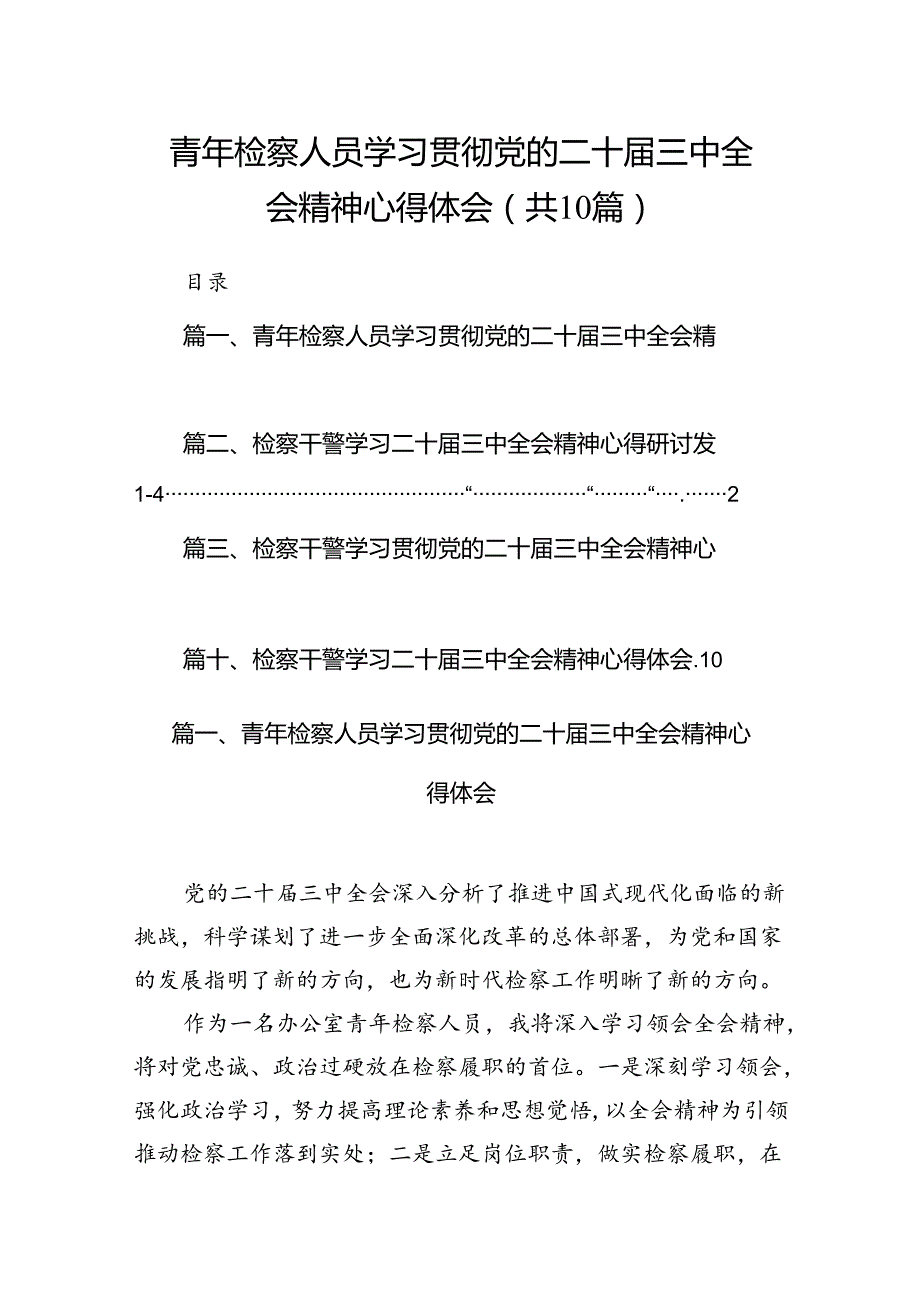 （10篇）青年检察人员学习贯彻党的二十三中全会精神心得体会专题资料.docx_第1页