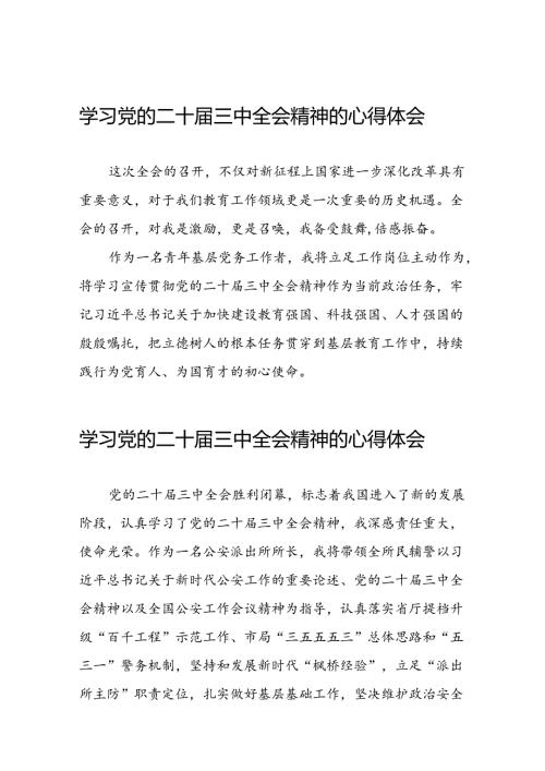 2024年党的二十三中全会精神学习感悟样本四十篇.docx