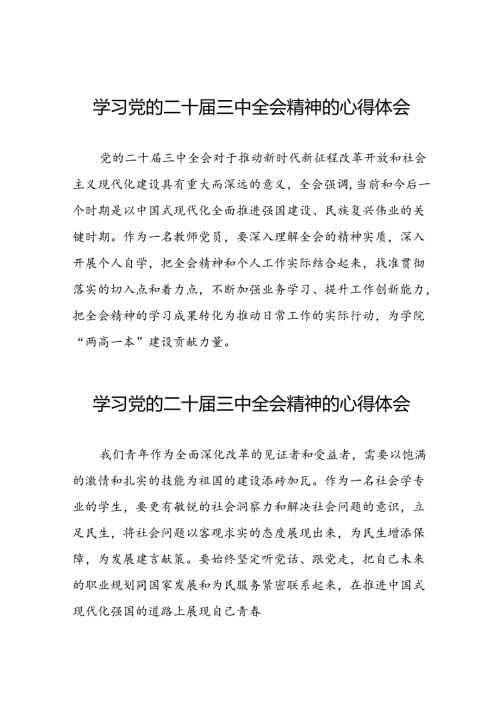 二十三中全会精神的学习感悟模板二十七篇.docx