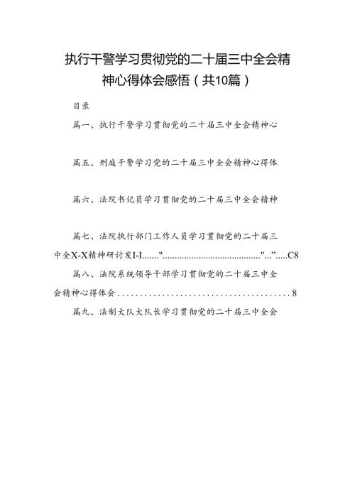（10篇）执行干警学习贯彻党的二十三中全会精神心得体会感悟范文.docx