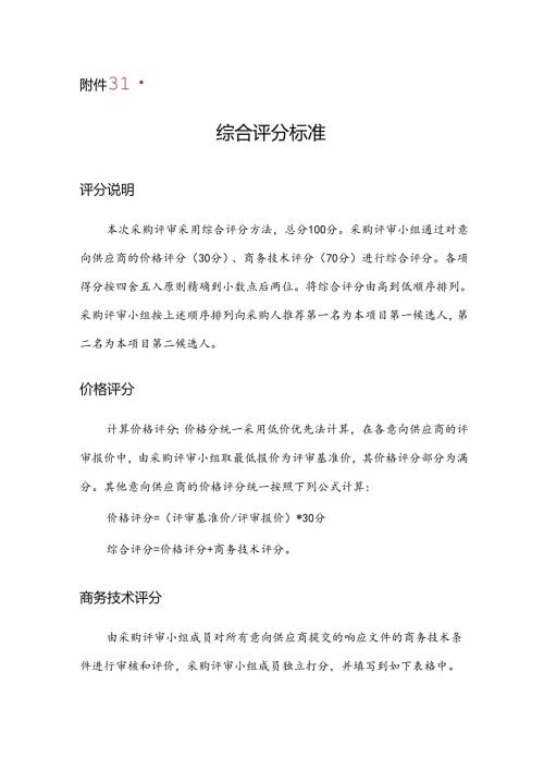 评分标准范本.docx