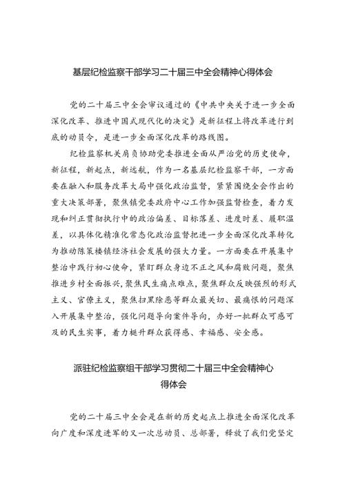 （9篇）基层纪检监察干部学习二十三中全会精神心得体会（精选）.docx