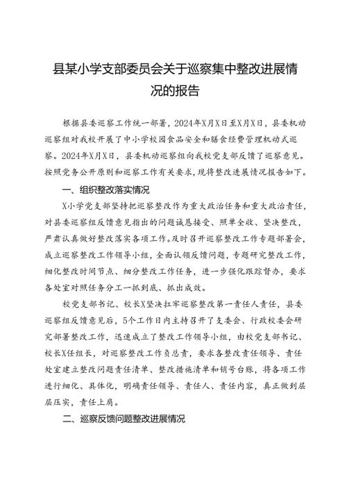 县某小学支部委员会关于巡察集中整改进展情况的报告.docx