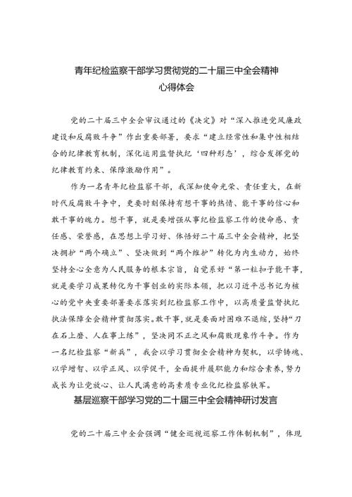（9篇）青年纪检监察干部学习贯彻党的二十三中全会精神心得体会（精选）.docx