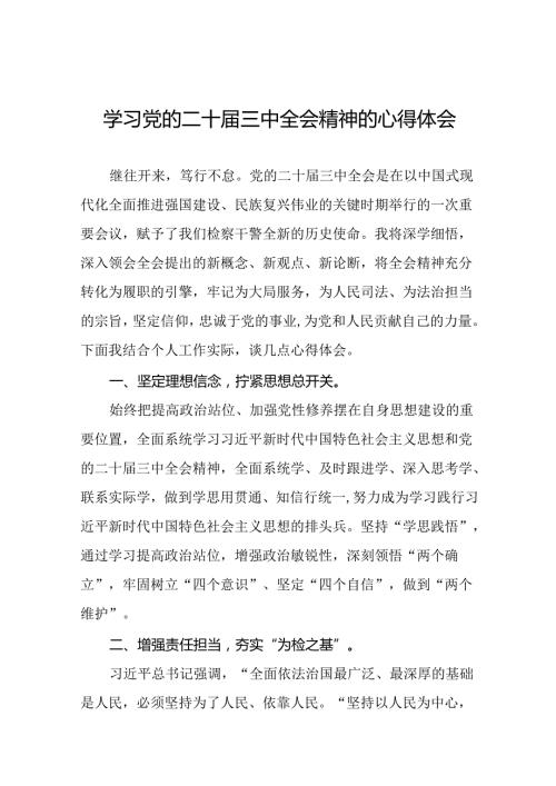 2024年党的二十三中全会精神学习感悟研讨发言材料四十篇.docx