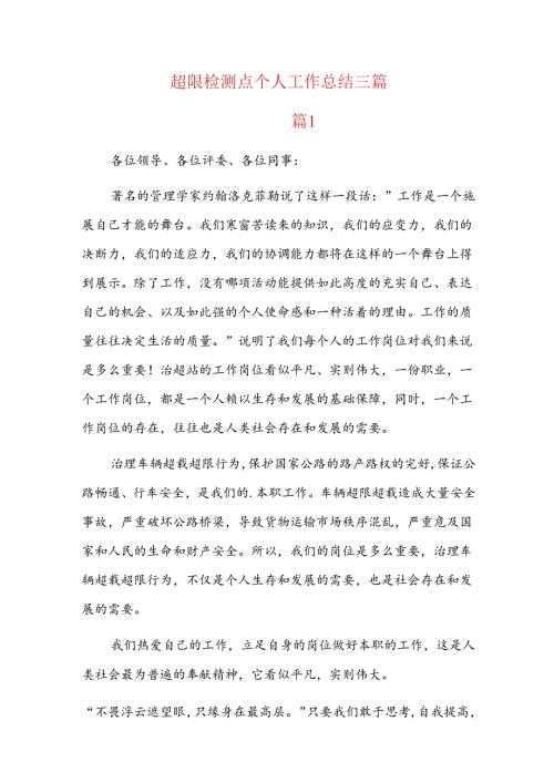 超限检测点个人工作总结三篇.docx