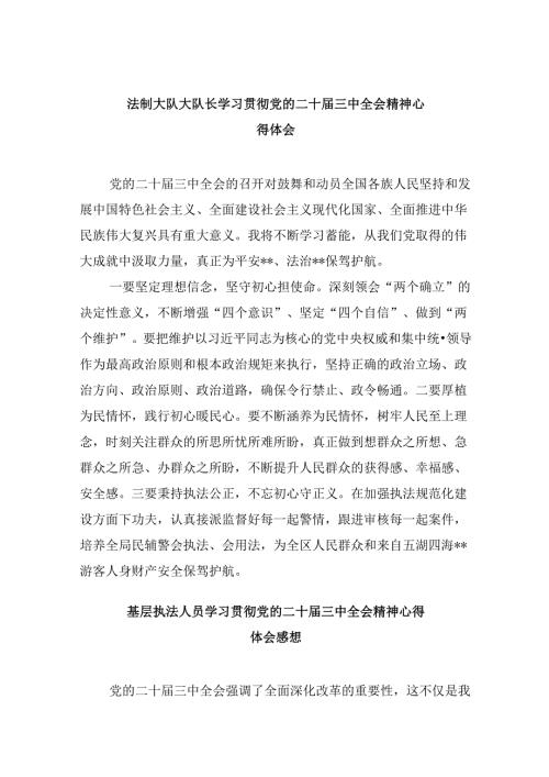 （11篇）法制大队大队长学习贯彻党的二十三中全会精神心得体会（精选）.docx