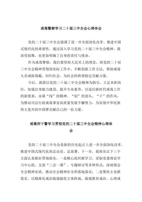 （11篇）戒毒警察学习二十三中全会心得体会范文.docx