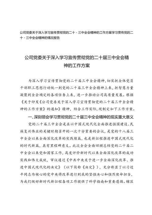 公司党委关于深入学习宣传贯彻党的二十三中全会精神的工作方案(二十三中全会精神的情况报告).docx