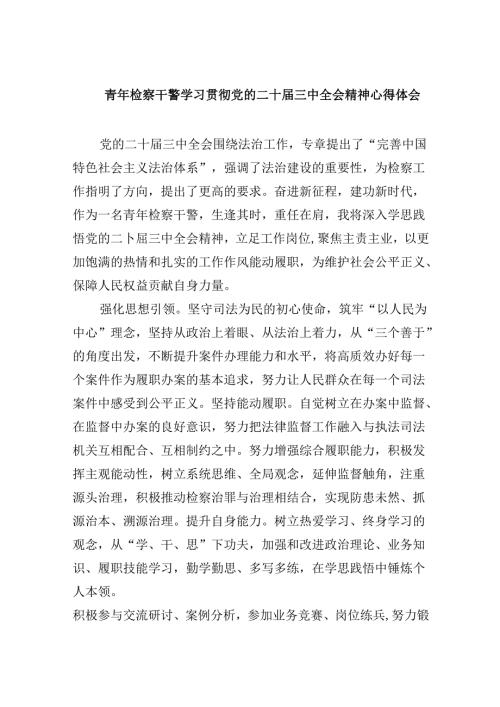 青年检察干警学习贯彻党的二十三中全会精神心得体会8篇（最新版）.docx