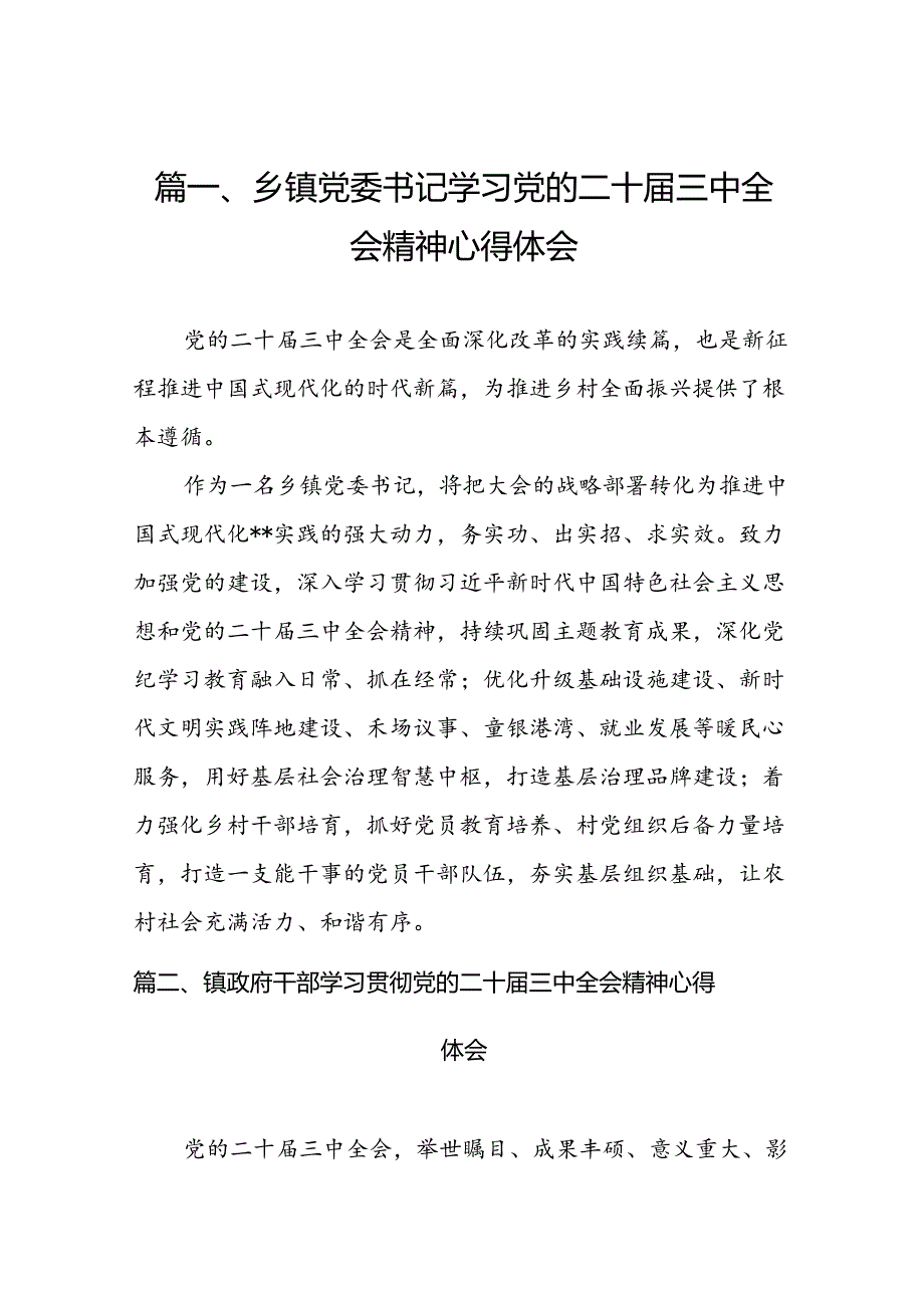 （10篇）乡镇党委书记学习党的二十三中全会精神心得体会（精选）.docx_第2页