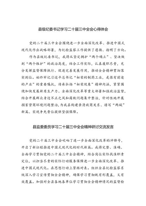 （9篇）县级纪委书记学习二十三中全会心得体会（详细版）.docx