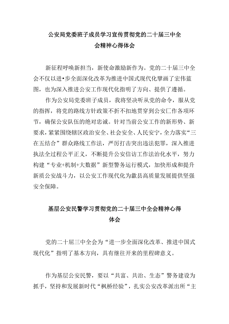 （11篇）公安民警学习党的二十三中全会精神心得体会资料供参考.docx_第3页