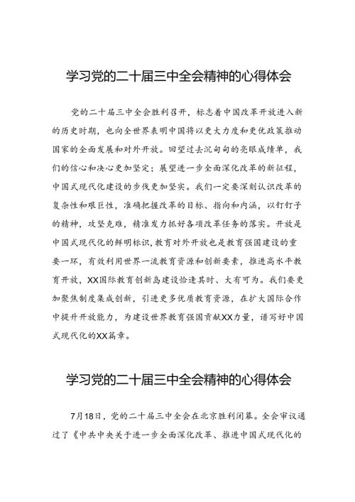 2024年二十三中全会精神学习体会发言稿四十四篇.docx