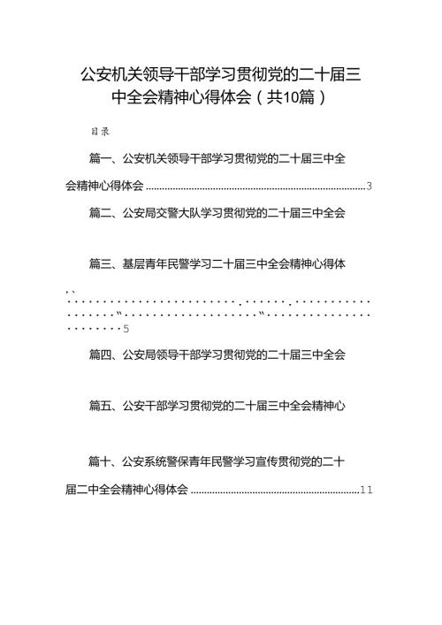 （10篇）公安机关领导干部学习贯彻党的二十三中全会精神心得体会集锦.docx