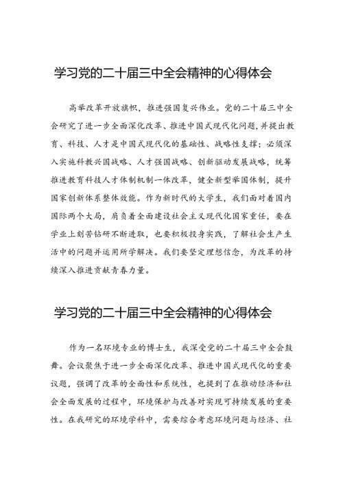 党员干部学习贯彻党的二十三中全会精神心得体会范本四十篇.docx
