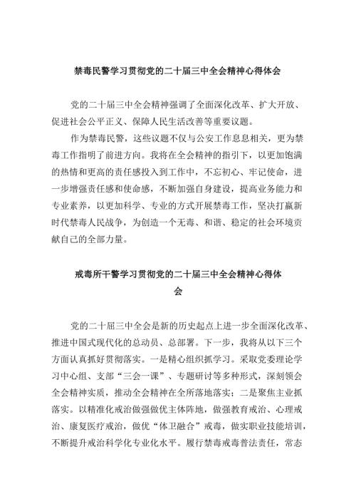 （11篇）禁毒民警学习贯彻党的二十三中全会精神心得体会（精选）.docx