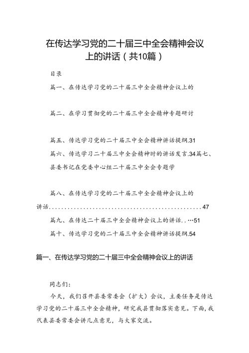 （10篇）在传达学习党的二十三中全会精神会议上的讲话（详细版）.docx