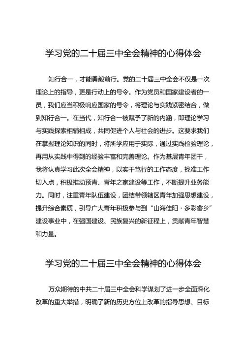 2024年党的二十三中全会精神心得体会模板四十篇.docx