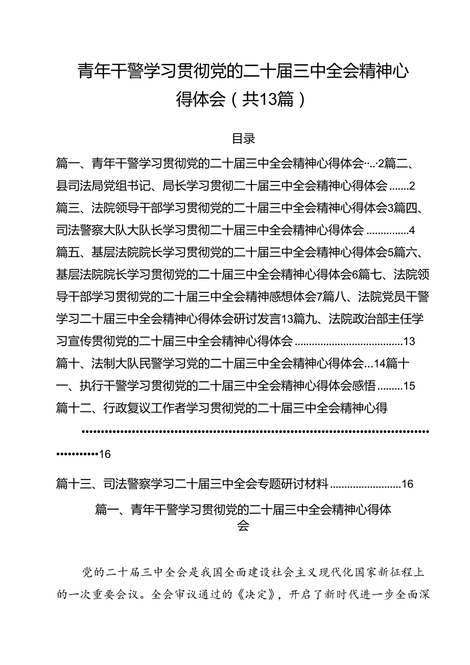 （13篇）青年干警学习贯彻党的二十三中全会精神心得体会优选.docx_第1页