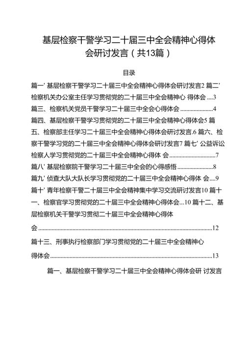 （13篇）基层检察干警学习二十三中全会精神心得体会研讨发言（精选）.docx