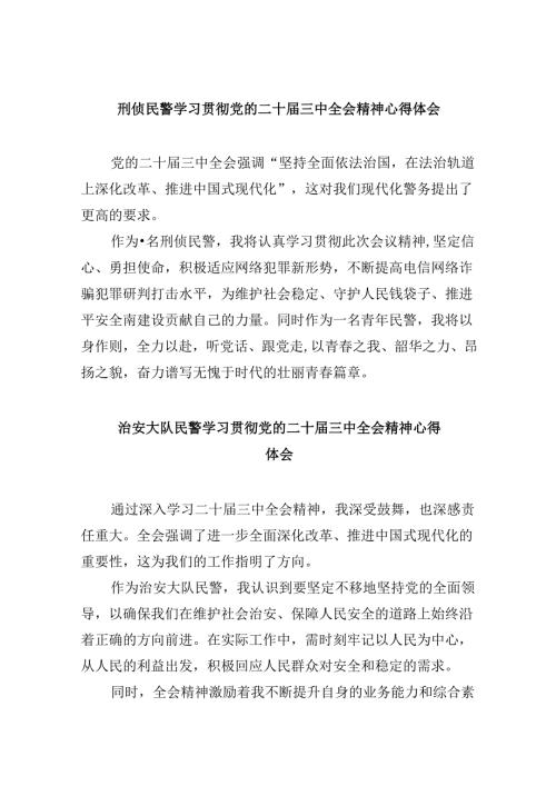 （11篇）刑侦民警学习贯彻党的二十三中全会精神心得体会优选.docx