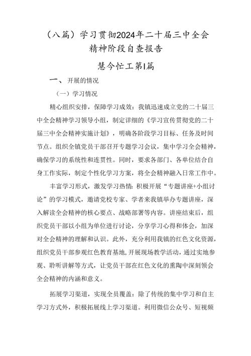 （八篇）学习贯彻2024年二十三中全会精神阶段自查报告.docx