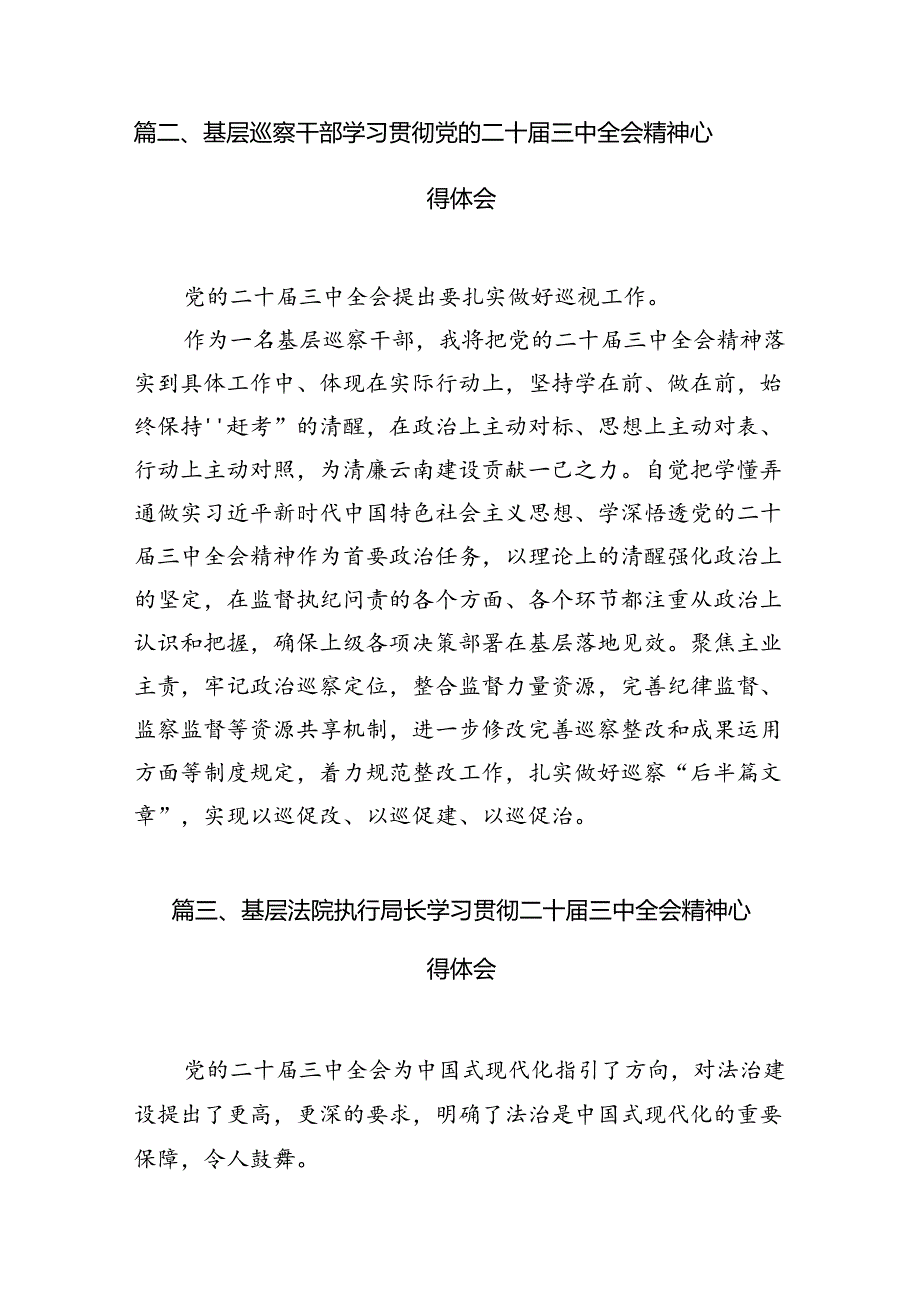 （15篇）刑警大队大队长学习二十三中全会专题研讨交流发言（详细版）.docx_第2页