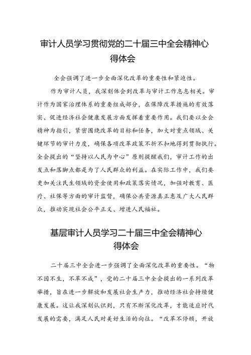 (5篇)审计人员学习贯彻党的二十三中全会精神心得体会范文.docx