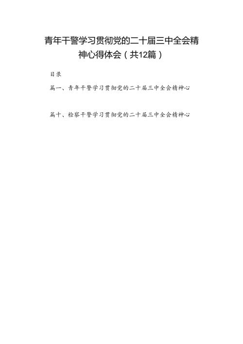 青年干警学习贯彻党的二十三中全会精神心得体会12篇（精选）.docx