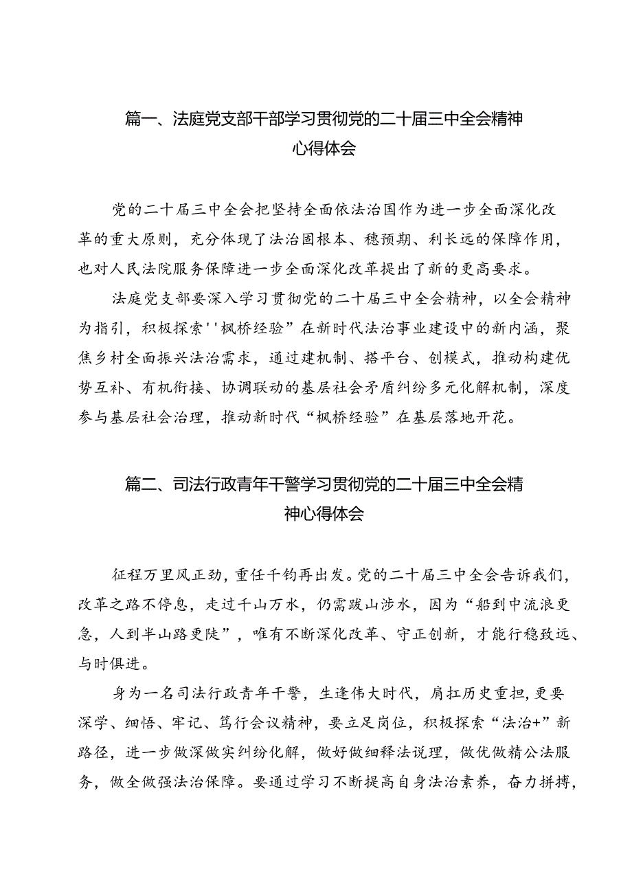 （13篇）法庭党支部干部学习贯彻党的二十三中全会精神心得体会（详细版）.docx_第2页