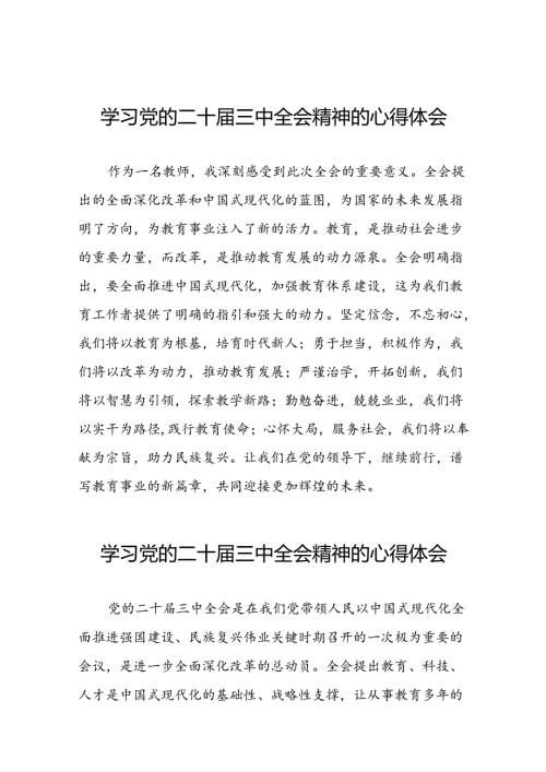 二十三中全会精神心得体会例文三十六篇.docx