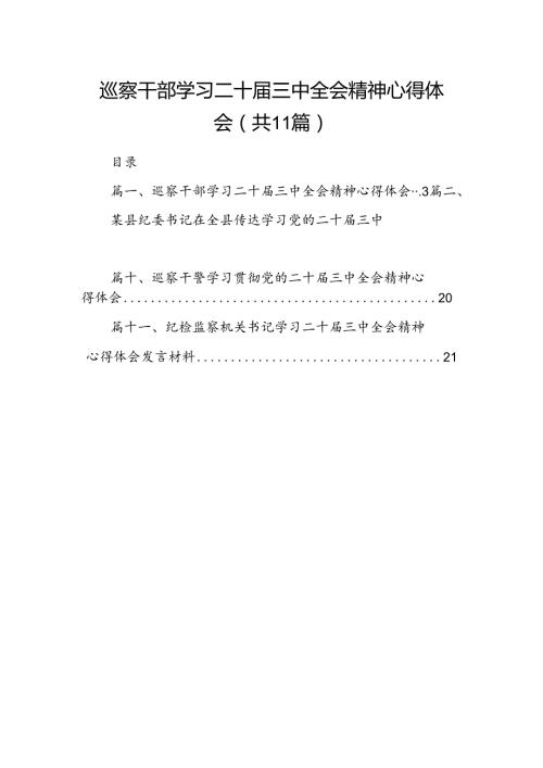 （11篇）巡察干部学习二十三中全会精神心得体会专题资料.docx