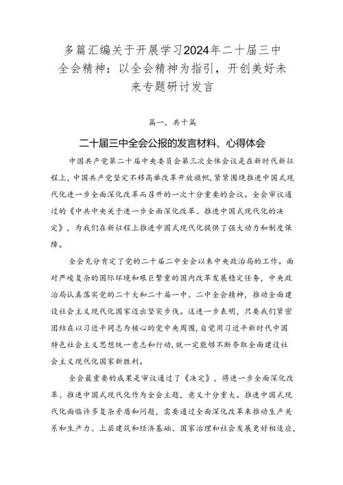 多篇汇编关于开展学习2024年二十三中全会精神：以全会精神为指引开创美好未来专题研讨发言.docx