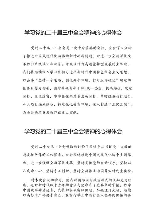 党员学习贯彻党的二十三中全会精神心得感悟合集四十篇.docx