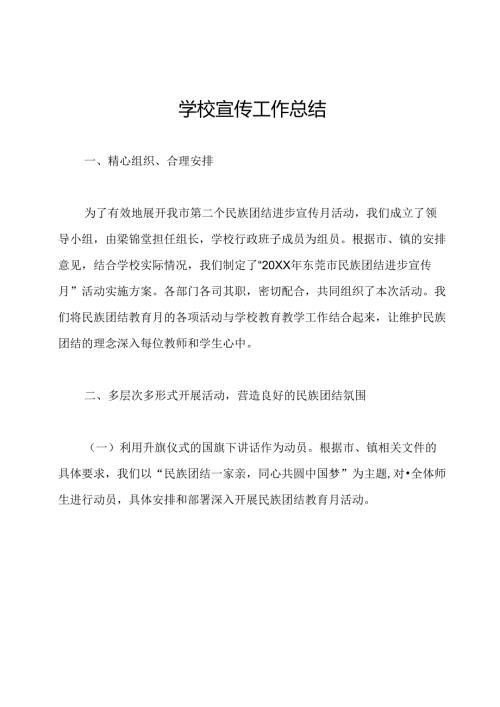 学校宣传工作总结.docx
