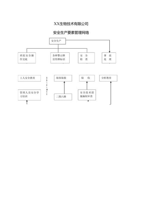 XX建筑装饰工程有限公司安全生产要素管理网络（2024年）.docx