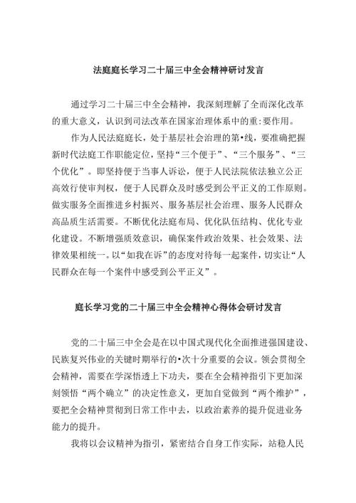 （11篇）法庭庭长学习二十三中全会精神研讨发言（精选）.docx
