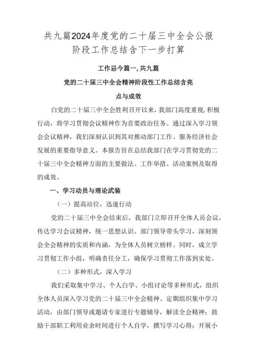共九篇2024党的二十三中全会公报阶段工作总结含下一步打算.docx
