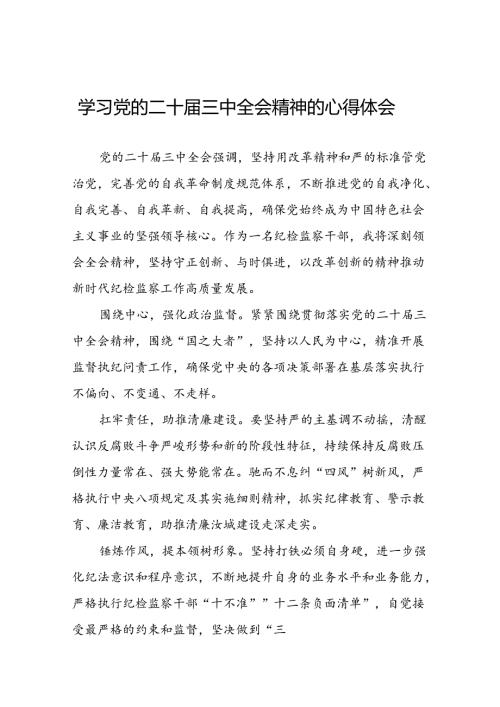 领导干部学习贯彻党的二十三中全会心得体会发言稿九篇.docx