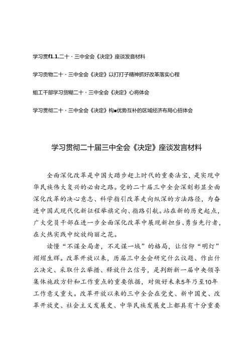 2024年学习贯彻二十三中全会《决定》座谈发言材料（4篇范文）.docx