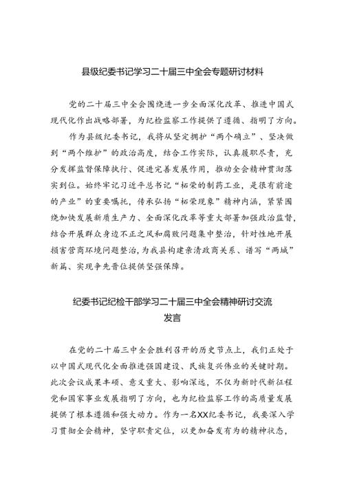 （9篇）县级纪委书记学习二十三中全会专题研讨材料范文.docx