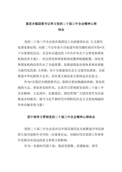 （11篇）基层乡镇团委书记学习党的二十三中全会精神心得体会（精选）.docx