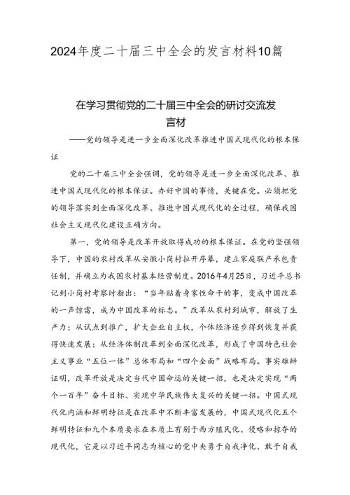 2024二十三中全会的发言材料10篇.docx