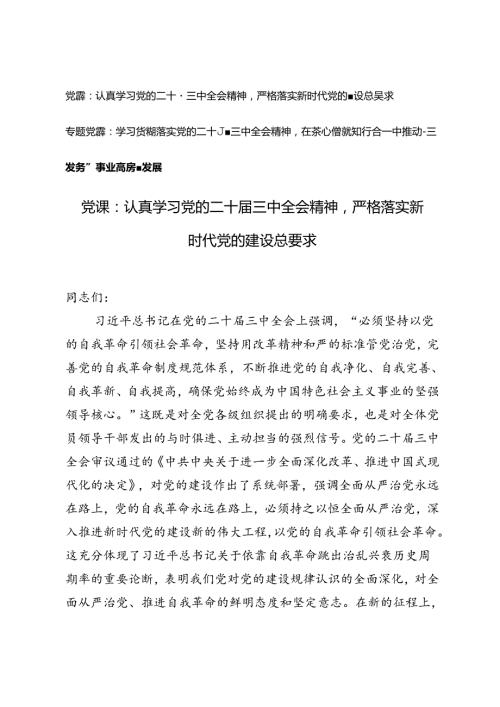 2篇 2024年党的二十三中全会精神党课讲稿.docx