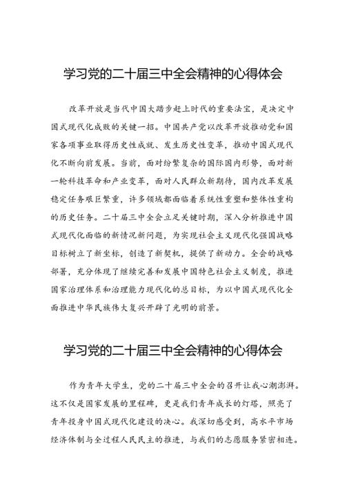 2024年二十三中全会精神学习体会精选合集四十四篇.docx