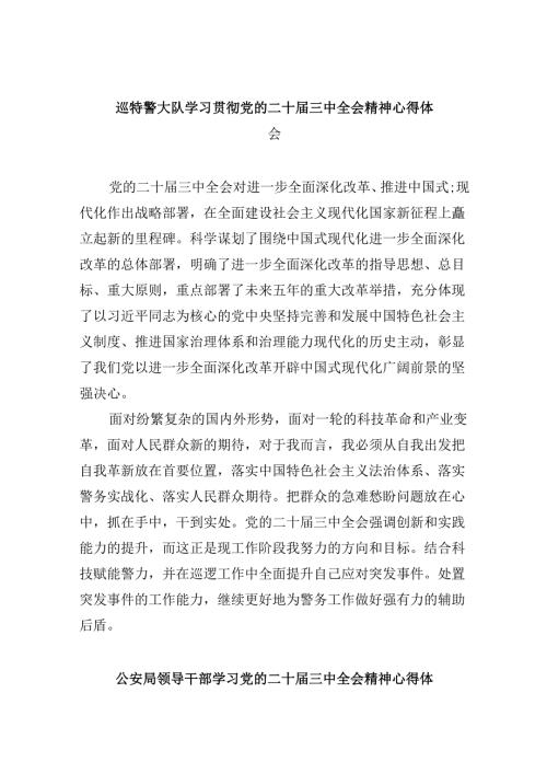 （11篇）巡特警大队学习贯彻党的二十三中全会精神心得体会范文.docx