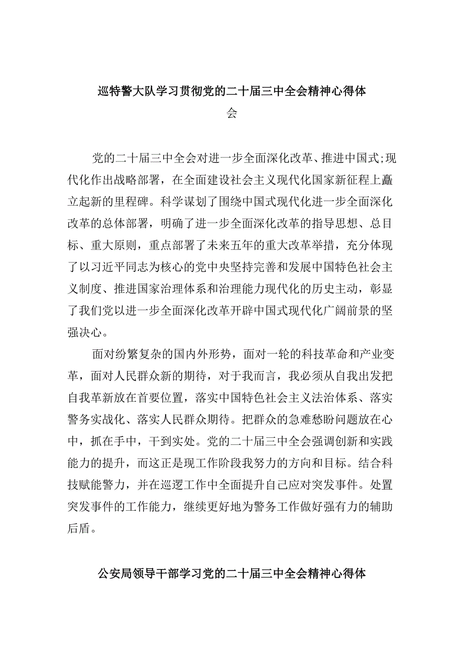 （11篇）巡特警大队学习贯彻党的二十三中全会精神心得体会范文.docx_第1页